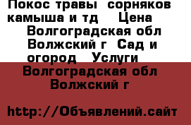 Покос травы, сорняков, камыша и тд. › Цена ­ 300 - Волгоградская обл., Волжский г. Сад и огород » Услуги   . Волгоградская обл.,Волжский г.